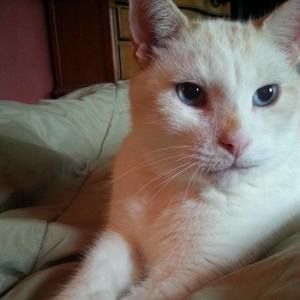 Meet your Posher, Alissa